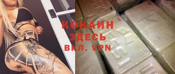 стаф Няндома