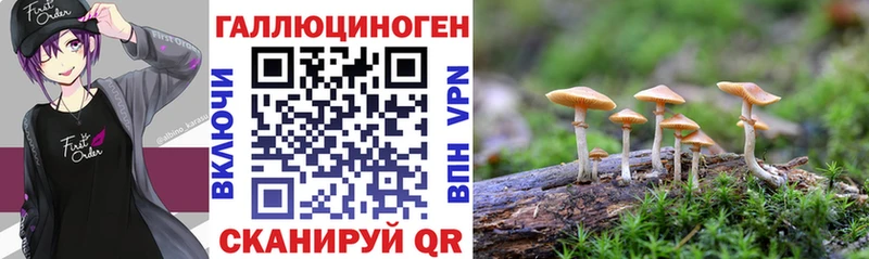 магазин  наркотиков  Суджа  Галлюциногенные грибы MAGIC MUSHROOMS 