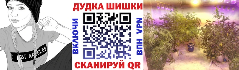 МАРИХУАНА Amnesia Суджа