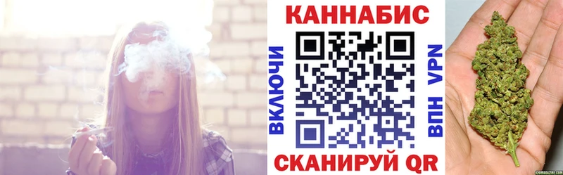 МЕГА tor  Суджа  Канабис планчик  как найти закладки 
